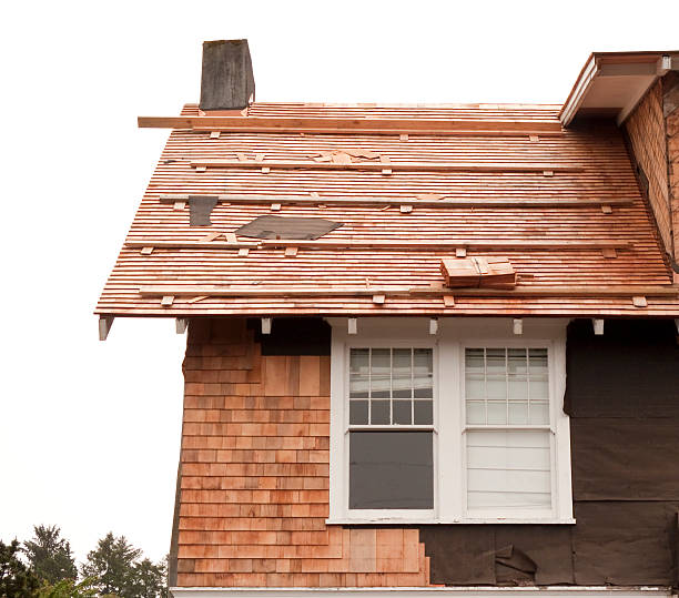 Best Siding Removal and Disposal  in Cottage Grove, WI